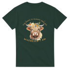 1edf29e3-ecf6-4e26-b487-5651a07e83a5