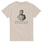 b712e431-5fa2-48f3-a6d1-f18955f564ff